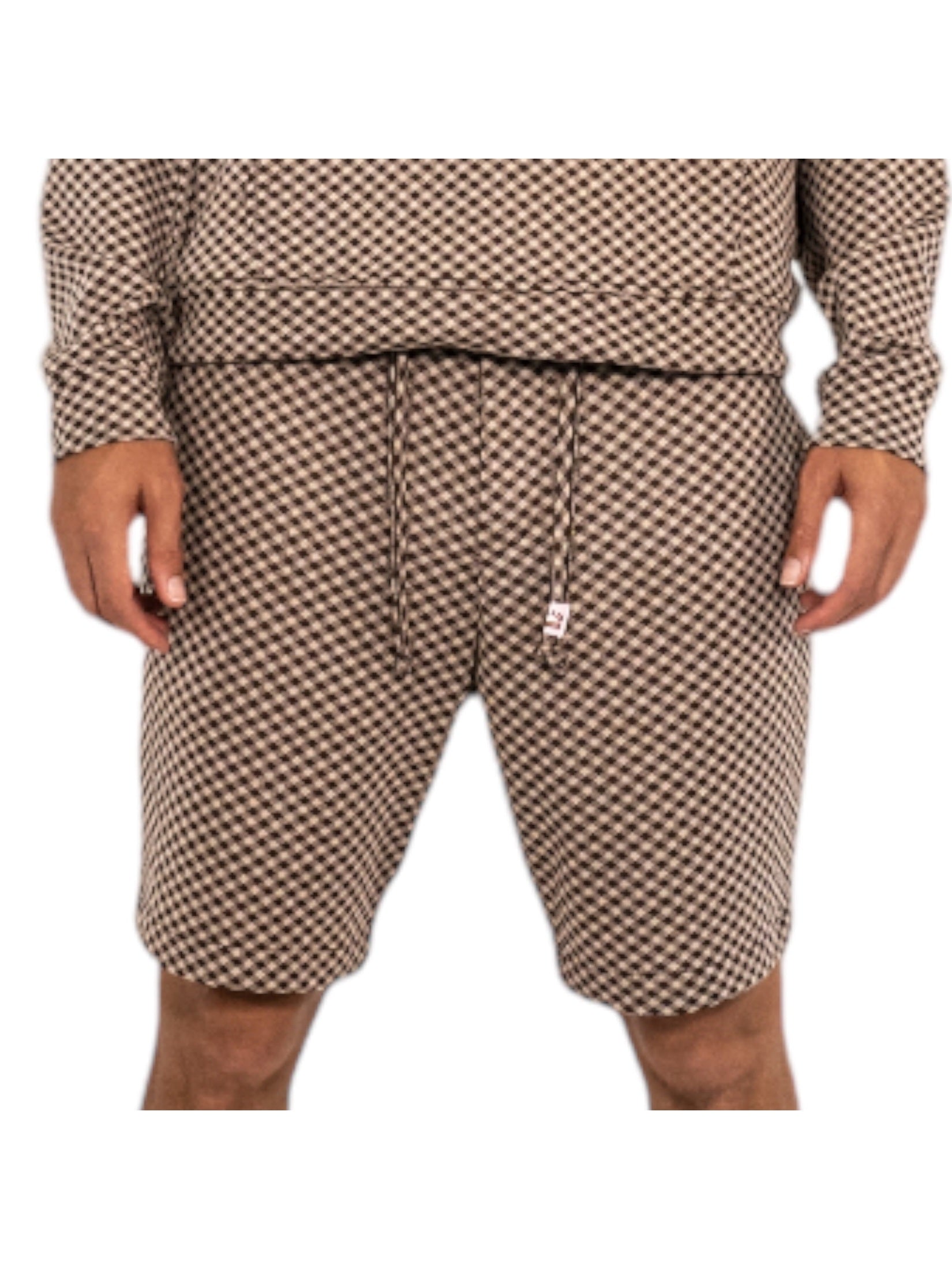 Capital Gains Gingham Short