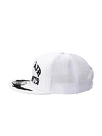 JET STREAM TRUCKER